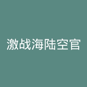 激战海陆空官网
