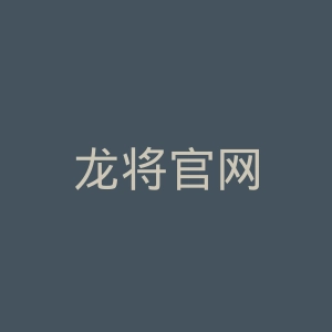龙将官网