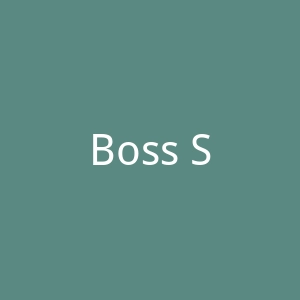 Boss Selection 官方网站官网