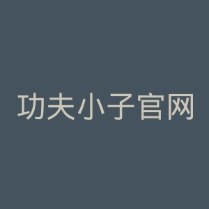 功夫小子官网