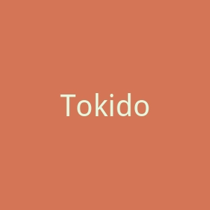 Tokidoki官网