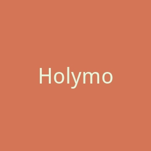 Holymoly官网