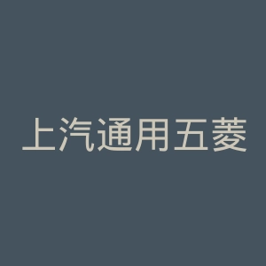 上汽通用五菱官网