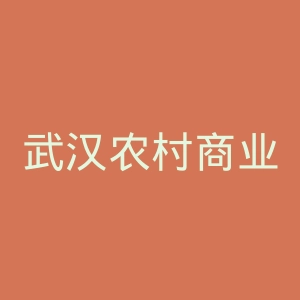 武汉农村商业银行网站官网