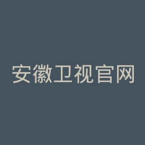 安徽卫视官网