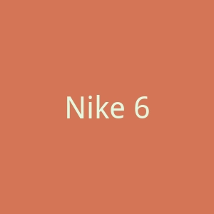 Nike 6.0官网