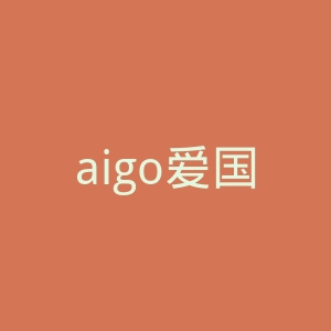 aigo爱国者官网