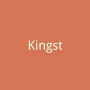 Kingston金士顿官网