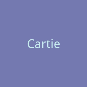 Cartier卡地亚手表官网
