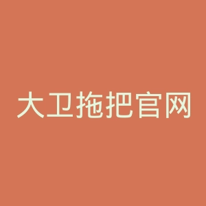 大卫拖把官网