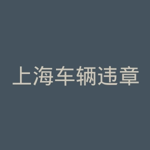 上海车辆违章查询官网
