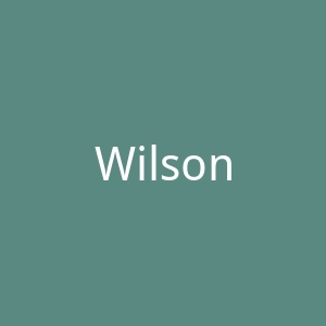 Wilson威尔胜官网
