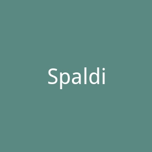Spalding斯伯丁官网