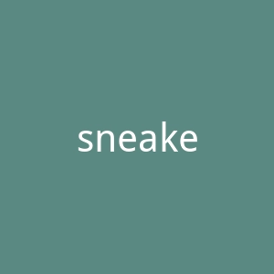 sneakerhead海外旗舰店官网