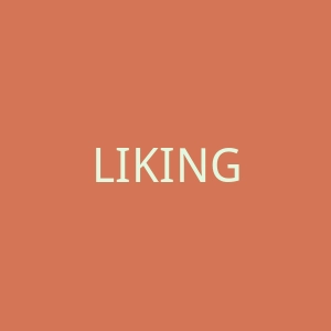 LIKING海外旗舰店官网