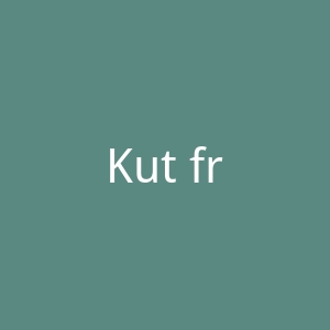 Kut from Kloth美国休闲女装品牌官网