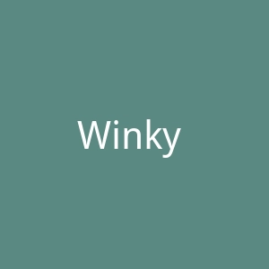 Winky Lux彩妆美国官方网站官网