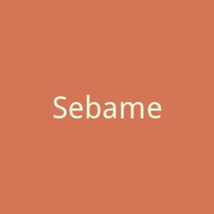 Sebamed 德国施巴皮肤护理品牌官方网站官网