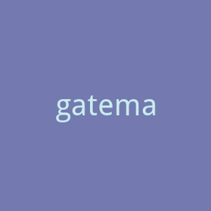 gateman旗舰店官网
