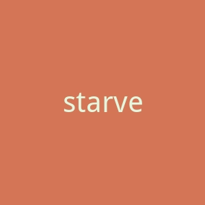 starvery旗舰店官网