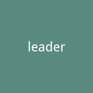leaders海外旗舰店官网