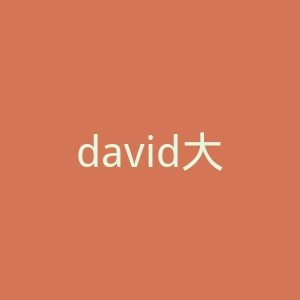 david大卫旗舰店官网