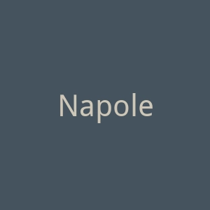 NapoleonPerdis海外旗舰店官网