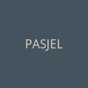 PASJEL海外旗舰店官网