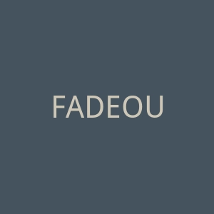FADEOUT海外旗舰店官网