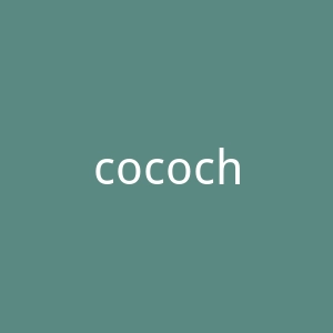 cocochicosme海外旗舰店官网