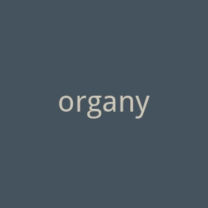 organyc海外旗舰店官网