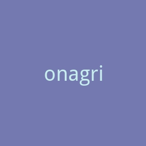 onagrine海外旗舰店官网
