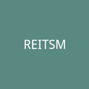 REITSMAN手表海外旗舰店官网