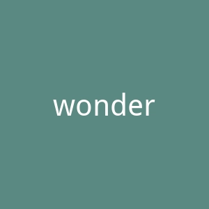 wonderlab旗舰店官网