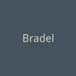 BradelisNewYork海外旗舰官网