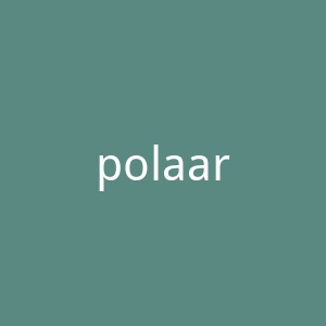 polaar海外旗舰店官网
