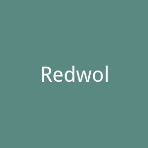 Redwolf印度T恤与贴纸定制服务网站官网