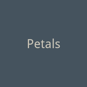 PetalsAndTails美国宠物狗猫清洁用品海淘官方网站官网