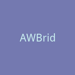 AWBridal美国新娘礼服品牌官方网站官网
