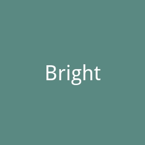 Bright美国宠物牙刷品牌官方网站官网