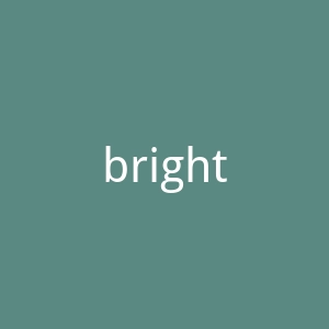 brightside焦虑和抑郁治疗药物海淘官方网站官网