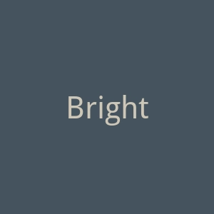 BrightLocal免费SEO工具官网