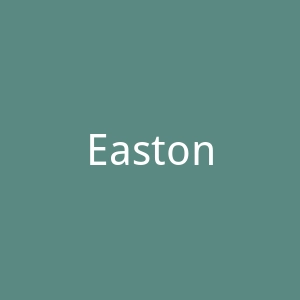 Easton美国伊斯顿钻石体育户外用品海淘官方网站官网
