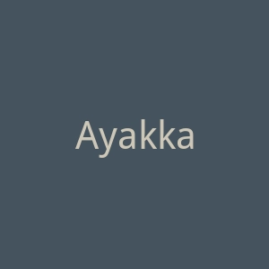 AyakkabıDünyası土耳其运动鞋海淘官方网站官网
