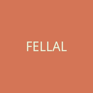 FELLALA官网