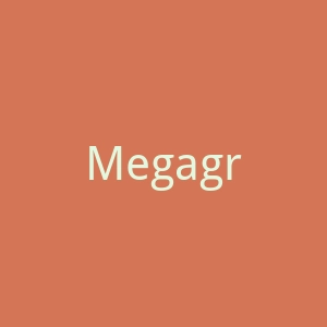 Megagroup俄罗斯网站开发定制网站官网