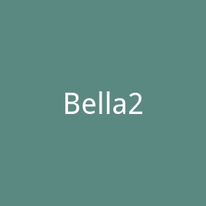 Bella2Bello手持式电动按摩器、按摩枪海淘网站官网
