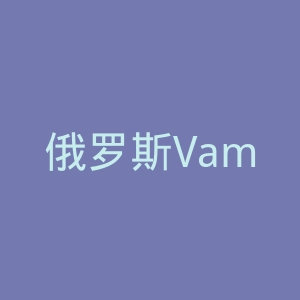 俄罗斯Vamvelosiped自行车与配件海淘官方网站官网