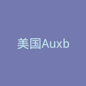美国Auxbeam汽车灯具用品海淘官方网站官网