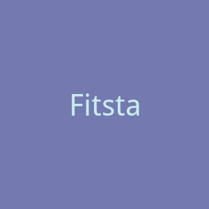 Fitstars俄罗斯燃脂减肥塑形培训课程网站官网